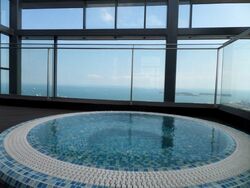 Skysuites@Anson (D2), Apartment #541587801